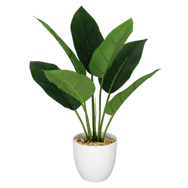 Pack of 6 x 45cm Artificial Aureum Plant