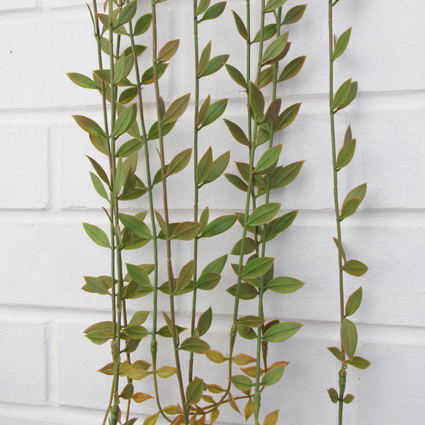 Pack of 12 x 120cm Artificial Hanging String of Pearls