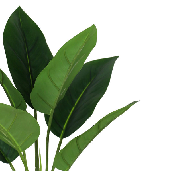 Pack of 6 x 45cm Artificial Aureum Plant
